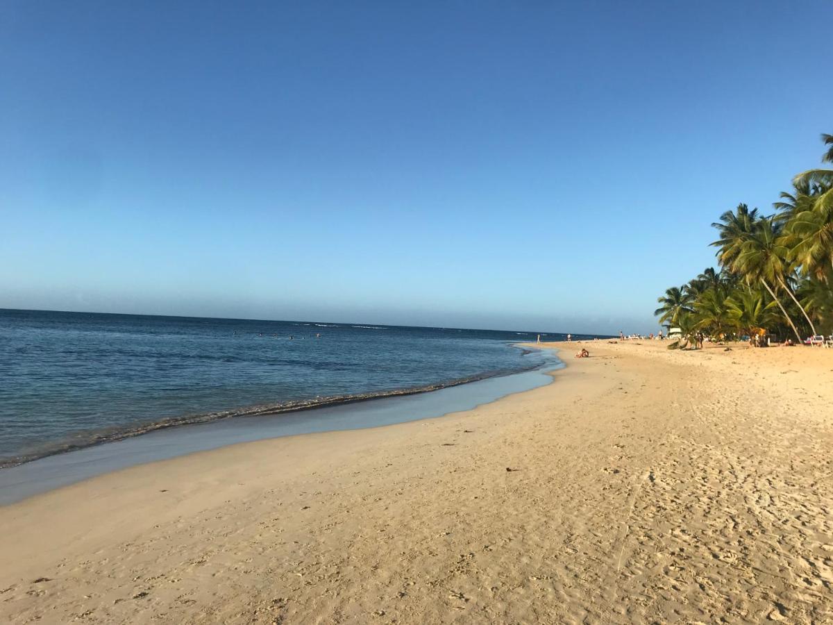Cozy Oceanfront Villa With Direct Beach Access Las Terrenas Kültér fotó