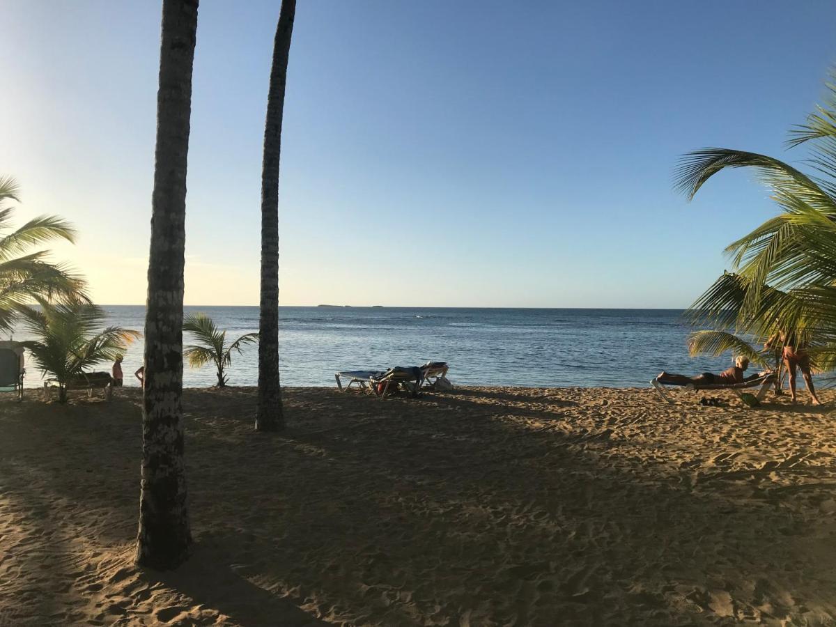 Cozy Oceanfront Villa With Direct Beach Access Las Terrenas Kültér fotó