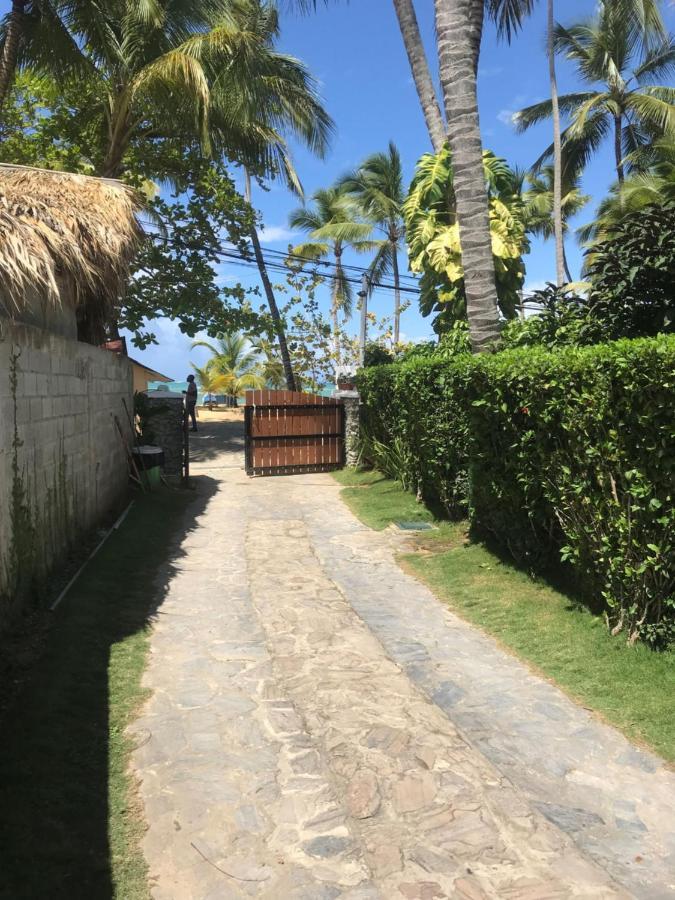 Cozy Oceanfront Villa With Direct Beach Access Las Terrenas Kültér fotó