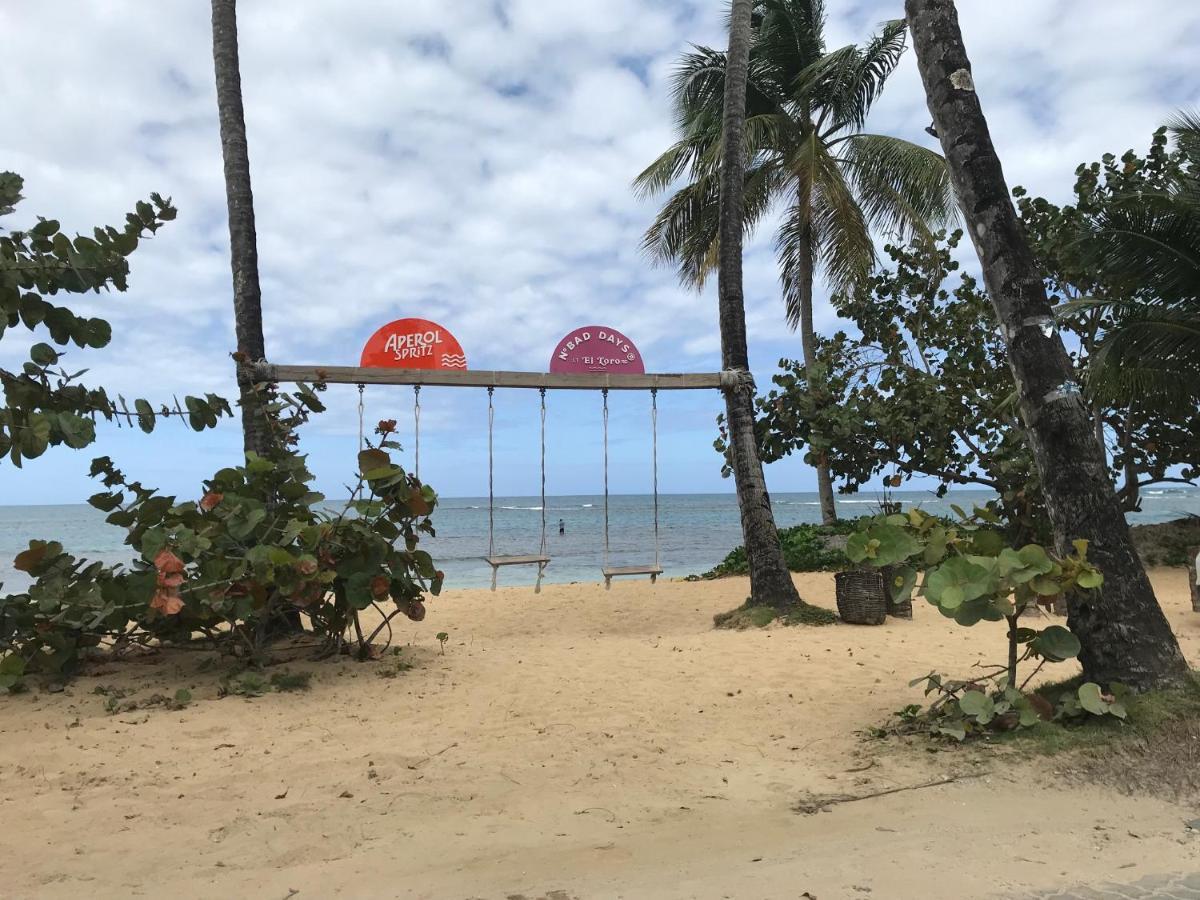 Cozy Oceanfront Villa With Direct Beach Access Las Terrenas Kültér fotó